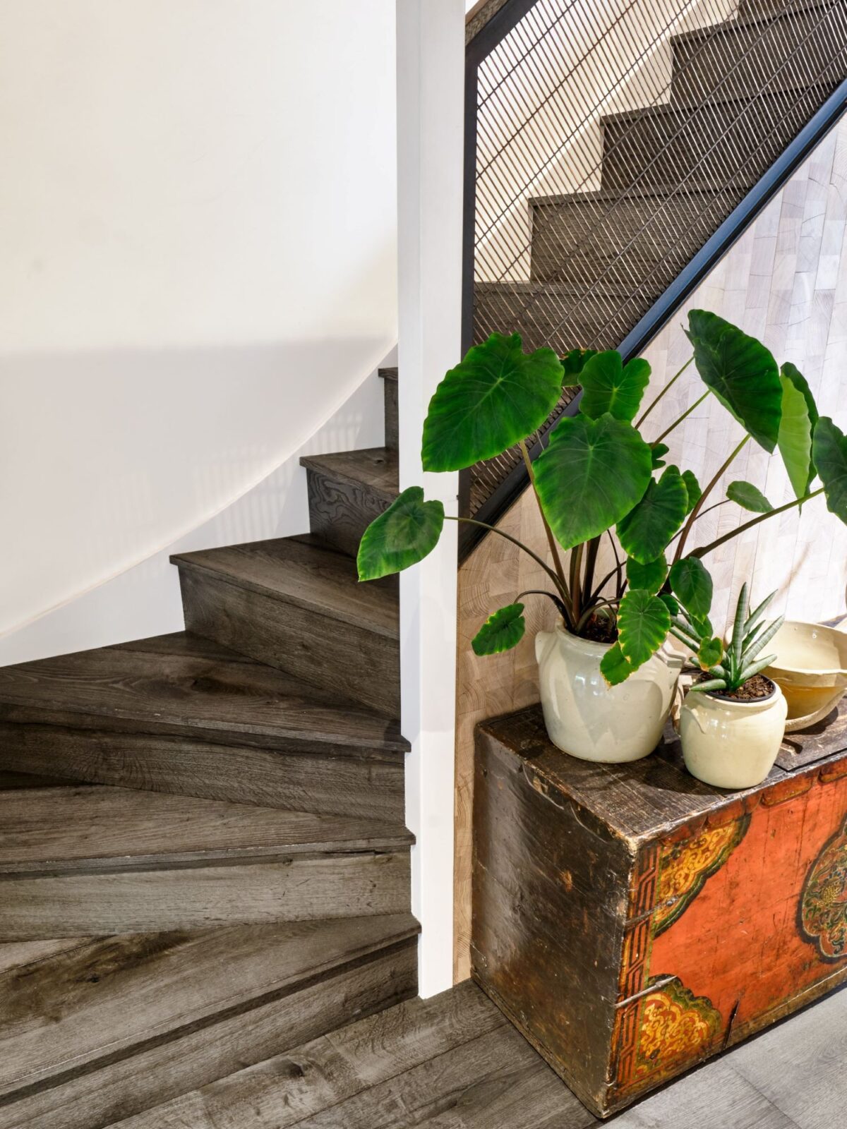 Magma mayon dark textured oak clad staircase with elephant ear plant on antique chest
