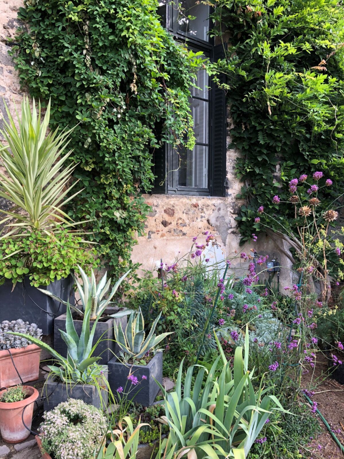 Eelke garden pots
