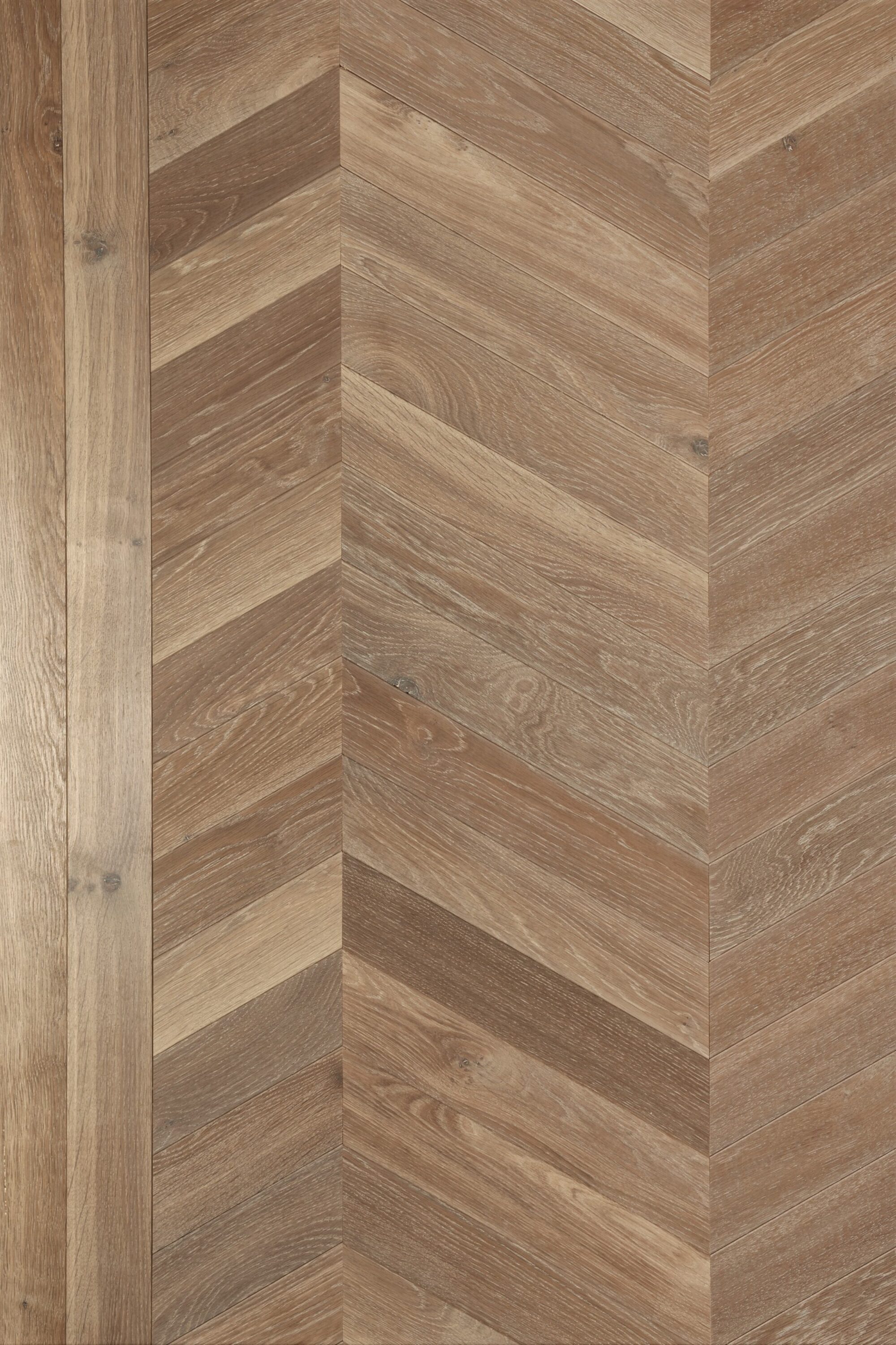 Oak strata glen chevron with double border