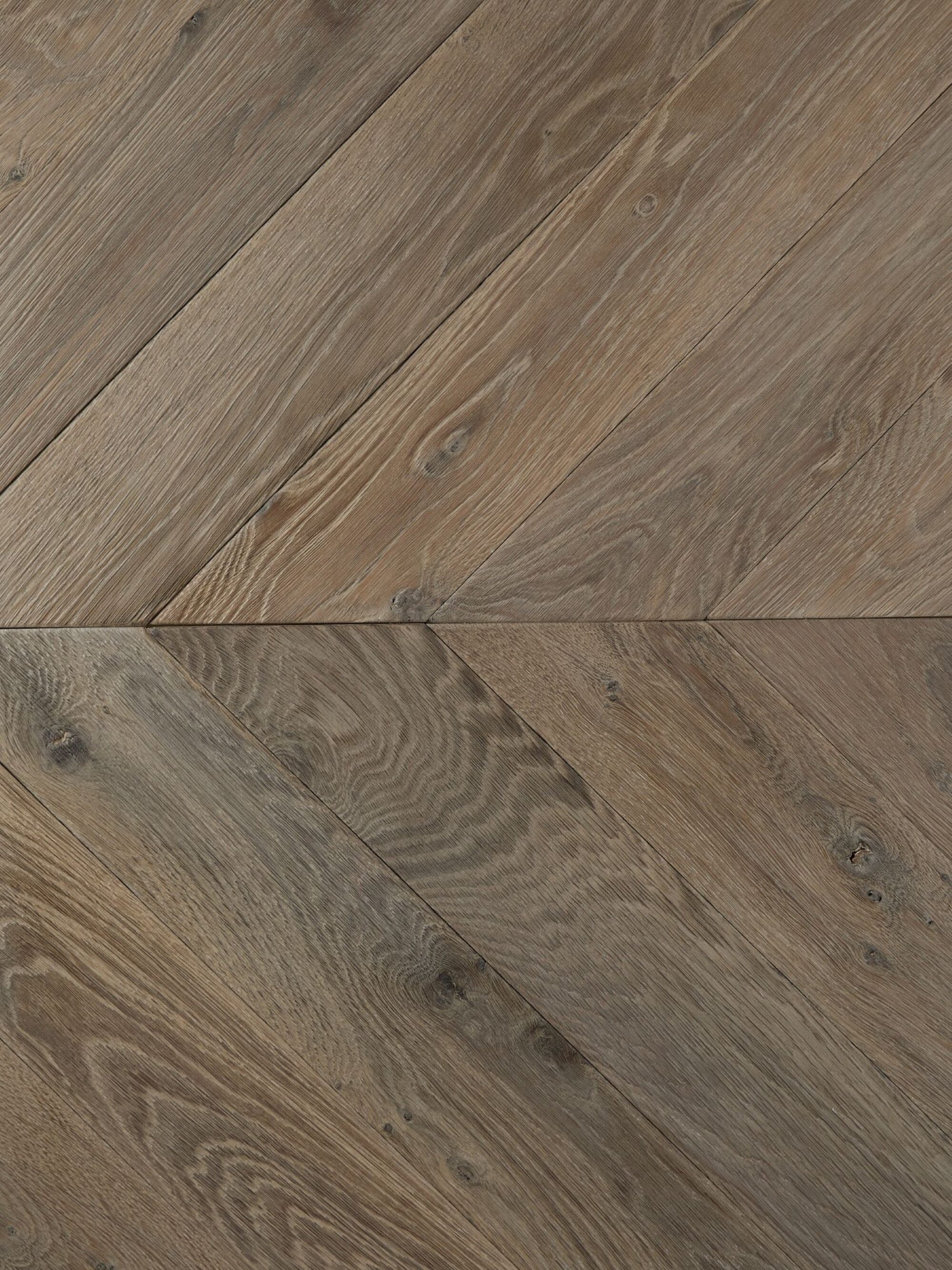 TUDOR chevron