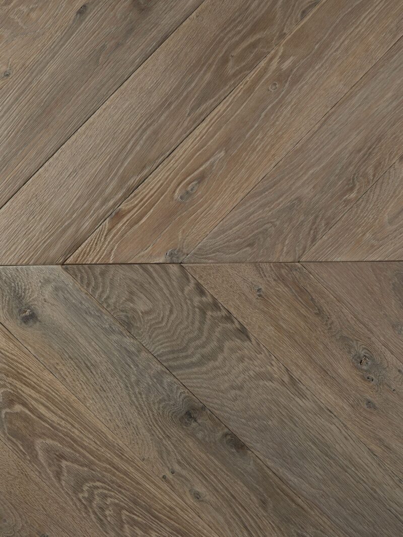 CROWN TUDOR chevron